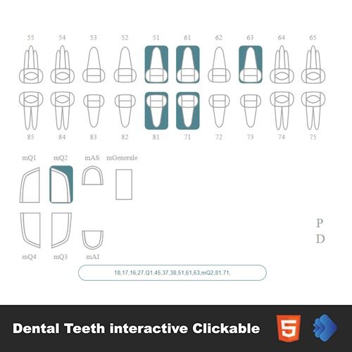 The Different Types of Dental Teeth Interactive Clickable